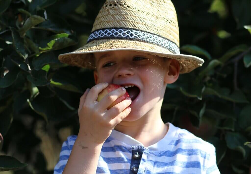 Kind beißt in Apfel